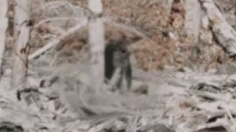 Patterson-Gimlin Film,  AI Enhanced (2021)