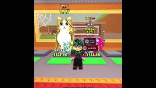 Meowl Ve 337M Los 67