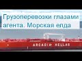 Оптовый бизнес из дома: грузоперевозки с точки зрения агента / Привет с Босфора / Морская елда