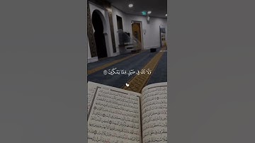 تلاوة هادئه تريح القلب ❤ قران كريم ❤ قرآن ❤قران ❤ تلاوة خاشعة ❤أرح سمعك ❤ short ❤