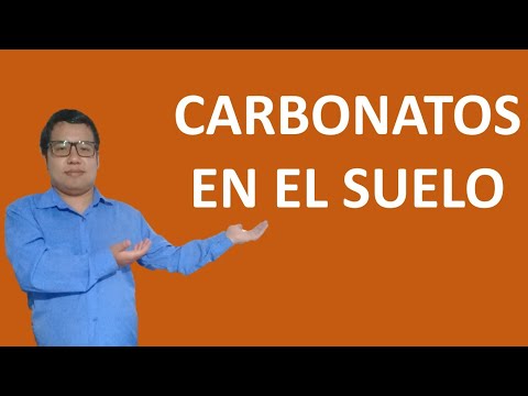 Video: ¿Qué son los carbonatos del suelo?