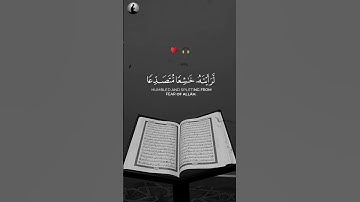 لو أنزلنا هذا القرءان | تلاوة ه بصوت ماهر المعيقلي 🥹