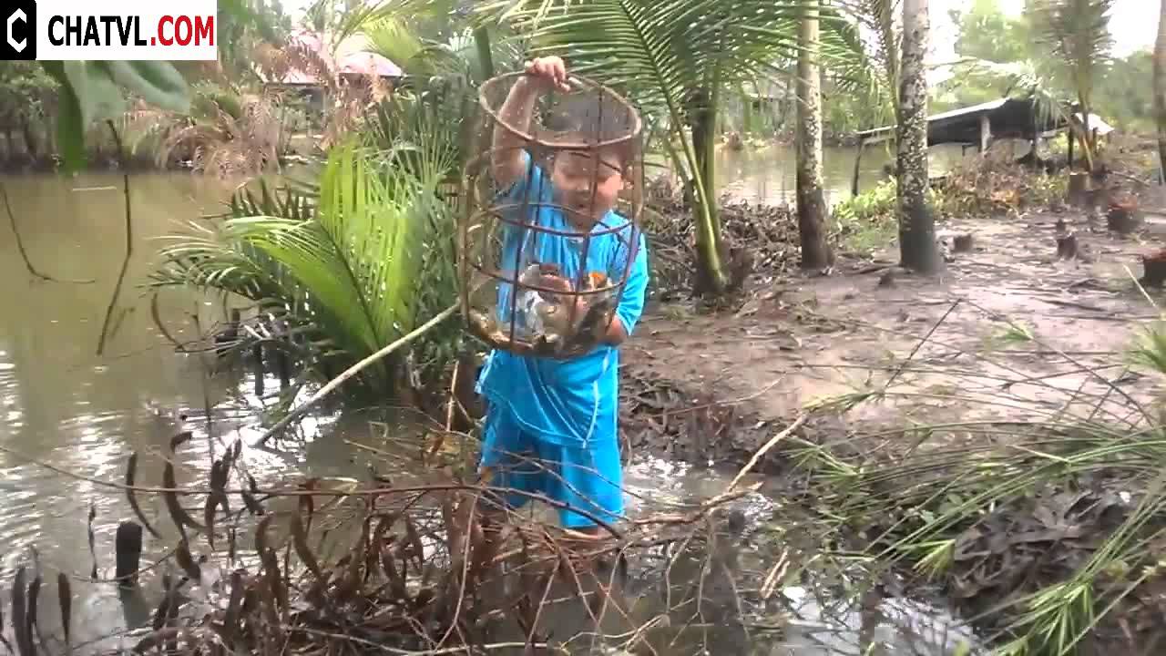 Bắt cá bằng lọp ở Miền Tây - YouTube