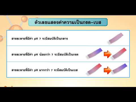 การตรวจสอบความเป็นกรด-เบสของสารละลาย ตอนที่ 2 วิทยาศาสตร์ ม.1