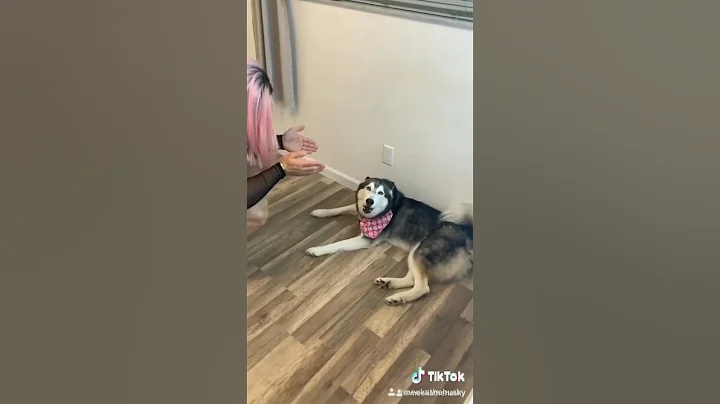 The way she says "Help" 😍🤣 #shorts