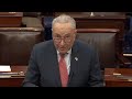Nancy Pelosi throws shade at Chuck Schumer for caving on shutdown vote | FLV Radio