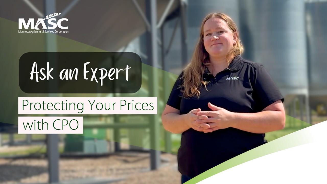Thumbnail for Ask an Expert: Understanding the Contract Price Option (CPO)