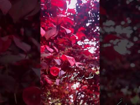 لعل مع انسداد النهر نهر آخر يجري