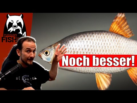 Russian Fishing 4
