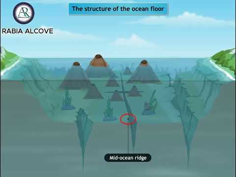 THE STRUCTURE OF THE OCEAN FLOOR : A Hidden World
