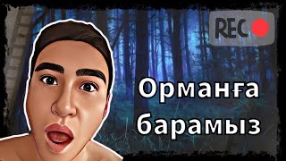 Жалғыс орманға барамыз | Бір нәрсе көрдім