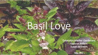 Basil Love