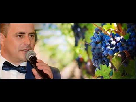 SORINEL DE LA PLOPENI 2018 NOU Intoarcete roata a vieti Cat am zile si ma chefuiesc