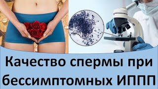 Качество спермы при бессимптомных ИППП