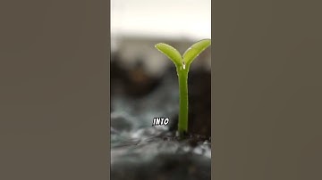 5-break tasks into smaller steps