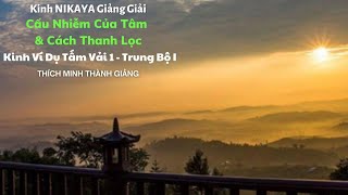 Kinh NIKAYA Giảng Giải - Cấu Nhiễm Của Tâm & Cách Thanh Lọc - Kinh Ví Dụ Tấm Vải 1 - Trung Bộ I