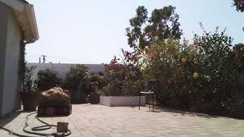 My tomato yard - Raspberry Pi camera time lapse video