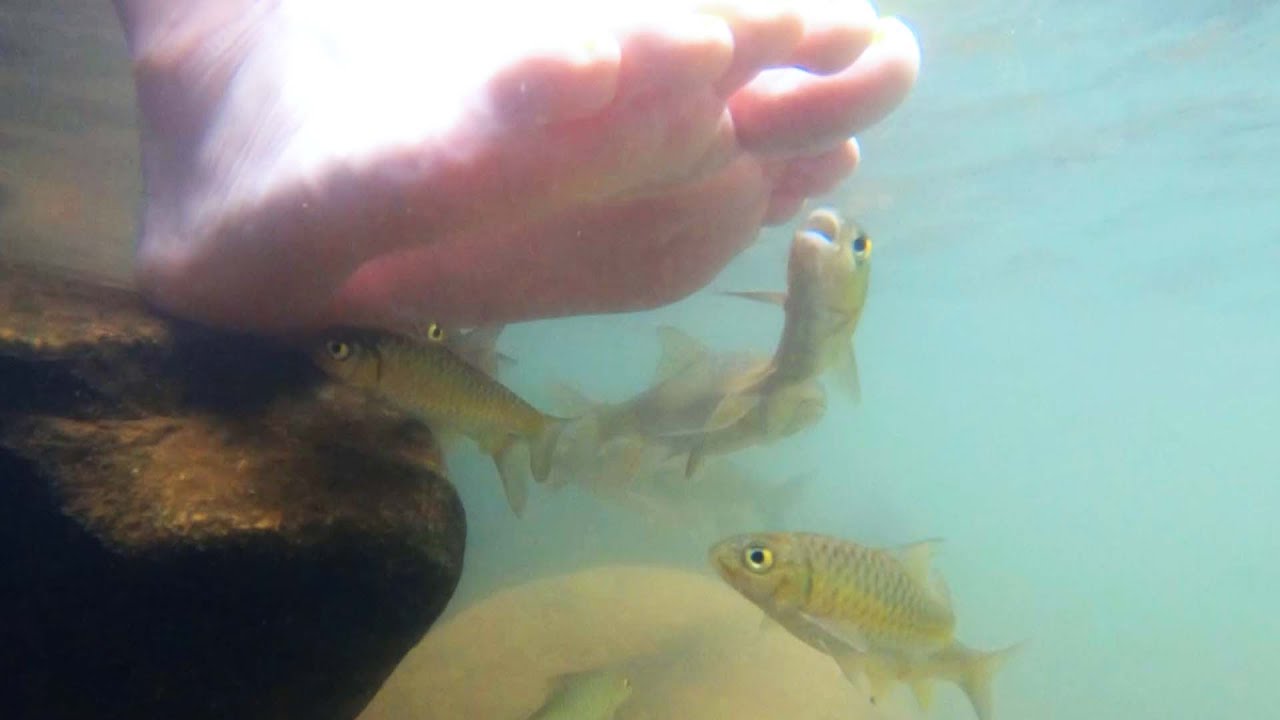 NEVER SEEN BEFORE: Fish pedicure! (Weirdest beauty procedure)