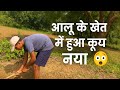🌾 गाँव के खेत में बड़ा कमाल – आलू में निकला नया जुगाड़!