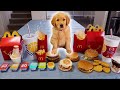 Summer Reviews McDonald’s Food! Puppy Taste Test