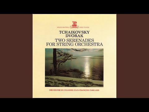 Serenade for Strings in E Major, Op. 22, B. 52: V. Finale. Allegro vivace
