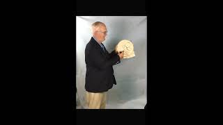 Hughes Magic Hoopla Double Bouquet Production