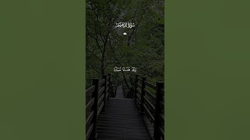 تلاوة خاشعة للقارئ فارس عباد🖤🥀#قرآن #قران_كريم #فارس_عباد #fyp #foryou #funny #explore #video 🖤🥀