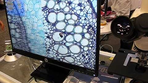 HD1000T HD Camera with Meiji Techno MT5000 Biological Microscope