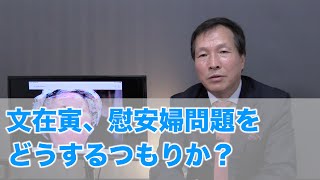 文在寅、慰安婦問題をどうするつもりか？（2020.6.13）