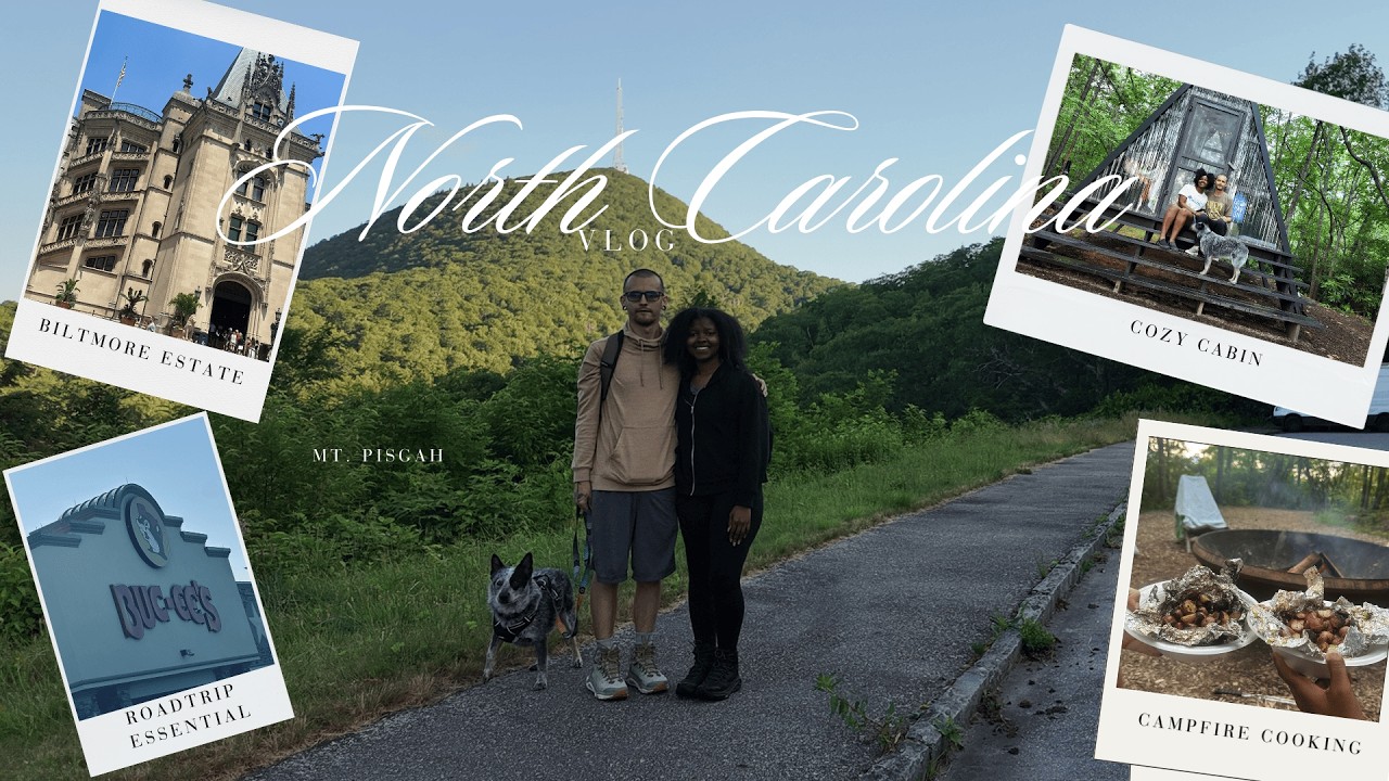 Much Needed Escape to the Pisgah Mountains | North Carolina Vlog