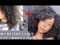 My Latest Curly Cut After 1 Year & 5 Months + Wash & Go Testing A New Product Duo! 👀