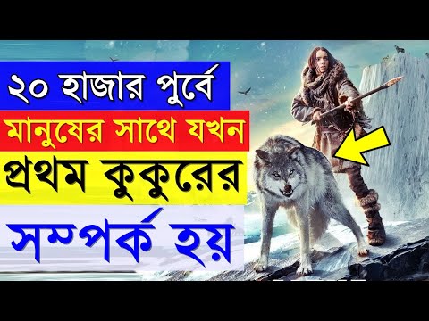 Alpha 2018 Movie explanation In Bangla Movie review In Bangla | Random Video Channel