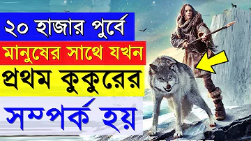 Alpha 2018 Movie explanation In Bangla Movie review In Bangla | Random Video Channel