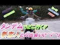 YZF-R6 納車ツーリング!!増車しました! motovlog51