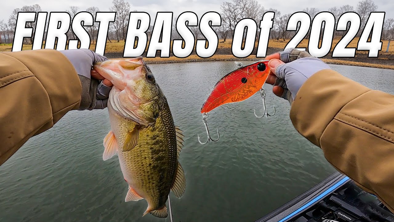 I SLOWED Down & Fish Started BITING