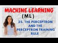 Perceptron & Training Rule in ML 🤖