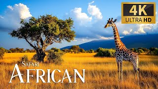 African Safari 4K 🐾 Wonderful Wildlife Discovery Animals with Relaxing Piano Music for Deep Calm