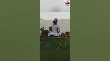 Hafiz Muhammad Asif Qadri Jamia Ul Habib 