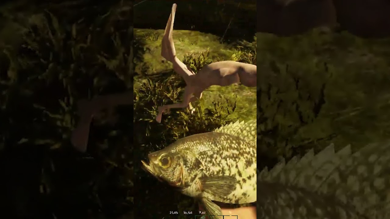 TIRAMOS A MOCHI FORA DE CASA - #loki #lokiods #gonefishing #funny #shorts #clips #games #twitch