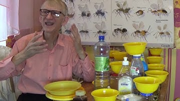 How to Collect Insects in Yellow Traps. Instruction (ENGLISH). Cooperation.