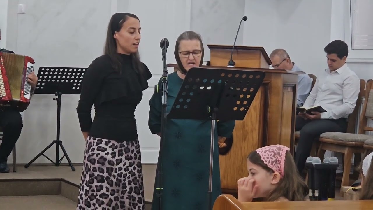 Biserica Carmel Baita de sub codru-