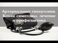 Причины, симптомы, лечение и профилактика высокого давления
