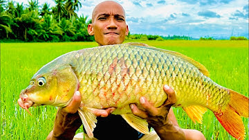Cá Chép Om Dưa Siêu To - Toàn Đen Sơn Dược Vlog