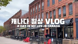 캐나다 일상 브이로그 🇨🇦 | 빨간머리 앤의 고향 - 프린스 에드워드 아일랜드 | 버터치킨커리 | 참치캐서롤 | 참치쌈장