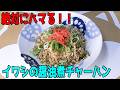 イワシの醤油煮チャーハン#cooking #料理 #VOICEVOXずんだもん