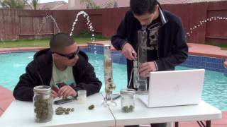 First Bong Rips From WeedStar SmellChecker Bong & Reviewing Buds FOR 6K SUBSCRIBERS !