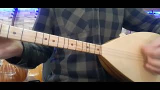 40 Tekne Kısa Sap Dut Bağlama