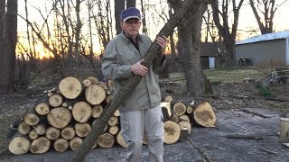 Locust Posts For the Garden