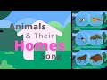 Animals & Their Homes Song | kids songs & nursery rhymes | Pussy Cat | Leaps N Bounds Learning