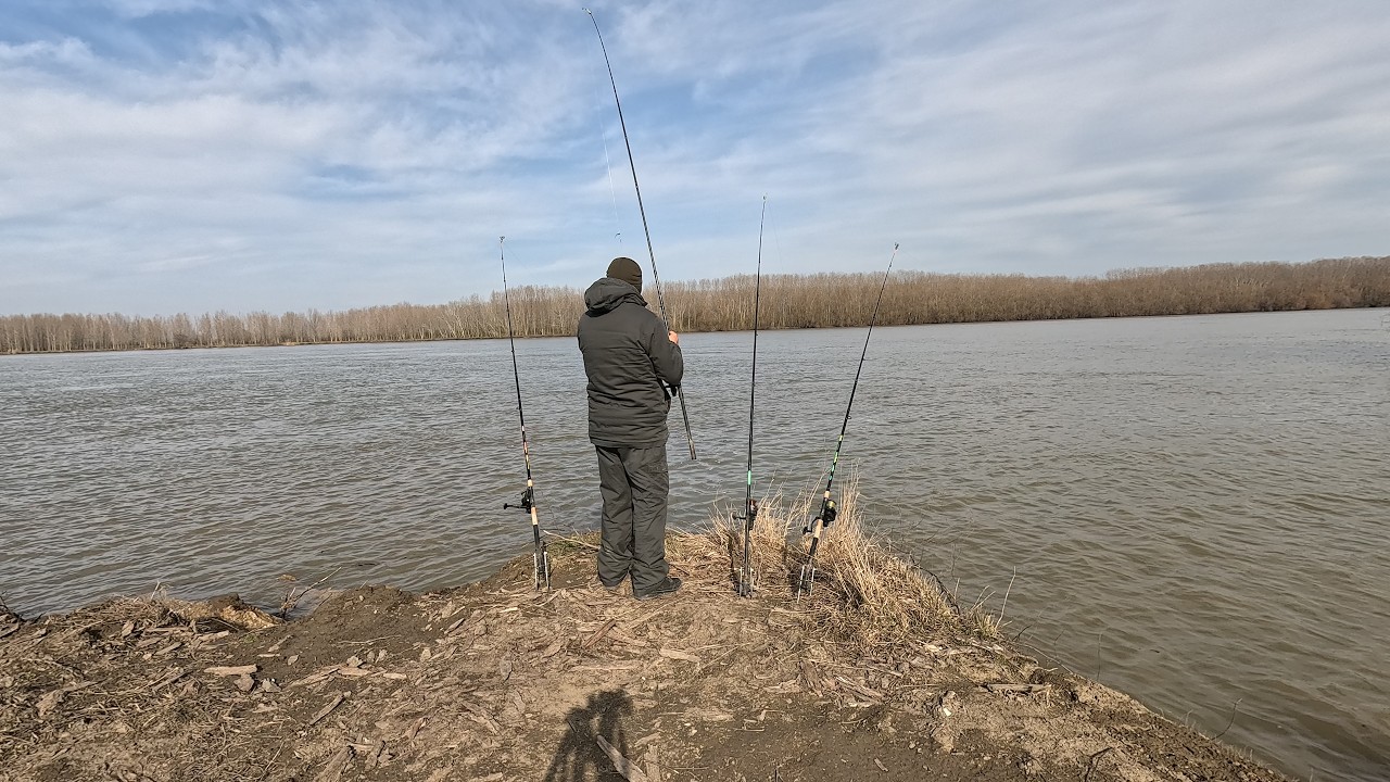 Primii pești ai Primăverii pe Dunăre s-au arătat la Mahmudia 🐞🍀🌞